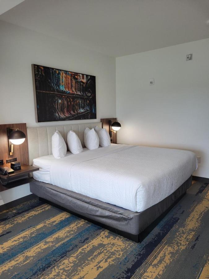 La Quinta Inn & Suites By Wyndham טרל מראה חיצוני תמונה